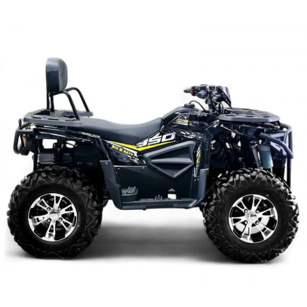 Квадроцикл Bizon ZX350, фото 5