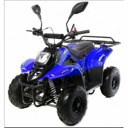 Квадроцикл MOTAX MIKRO 110 cc, фото 1