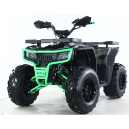 Квадроцикл MOTAX GRIZLIK U200, фото 6