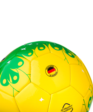 Мяч футбольный Brazil №5, фото 4