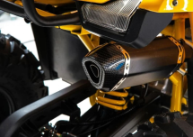 Квадроцикл MOTOLAND 125 Wild (2021 Г.)