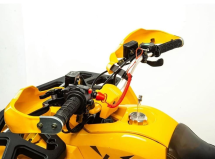 Квадроцикл MOTOLAND 125 Wild (2021 Г.)