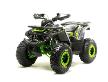 Квадроцикл MOTOLAND 125 Wild (2021 Г.)
