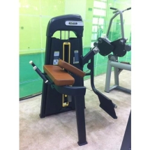 E-1024В Глют-машина. Ягодичные (Glute Isolator). Стек 49 кг.