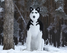 Топиари собака хаски, Бреста - газон Eco Топиари собака хаски, Бреста - газон Eco