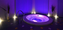 Спа-бассейн Wellis Acapulco Deep-In, фото 5