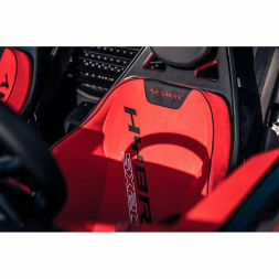 Багги Segway Super Villain SX20T Hybrid, фото 9 Багги Segway Super Villain SX20T Hybrid, фото 9