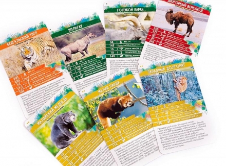 Секреты Планеты. Животные Азии, фото 3