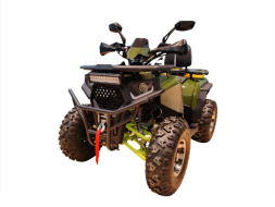 Квадроцикл FXMOTO Wasp 200 Квадроцикл FXMOTO Wasp 200