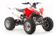 Квадроцикл MOTOLAND 125S (2020 Г.) Квадроцикл MOTOLAND 125S (2020 Г.)