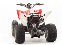 Квадроцикл MOTOLAND 125S (2020 Г.) Квадроцикл MOTOLAND 125S (2020 Г.)