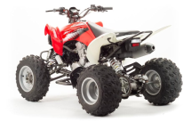 Квадроцикл MOTOLAND 125S (2020 Г.) Квадроцикл MOTOLAND 125S (2020 Г.)