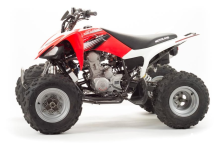 Квадроцикл MOTOLAND 125S (2020 Г.) Квадроцикл MOTOLAND 125S (2020 Г.)