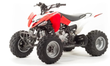 Квадроцикл MOTOLAND 125S (2020 Г.) Квадроцикл MOTOLAND 125S (2020 Г.)