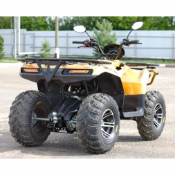Квадроцикл IRBIS ATV 200 PREMIUM, фото 3