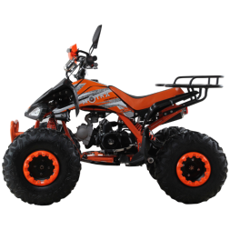 Квадроцикл бензиновый MOTAX ATV T-Rex Super LUX 125 cc, фото 6
