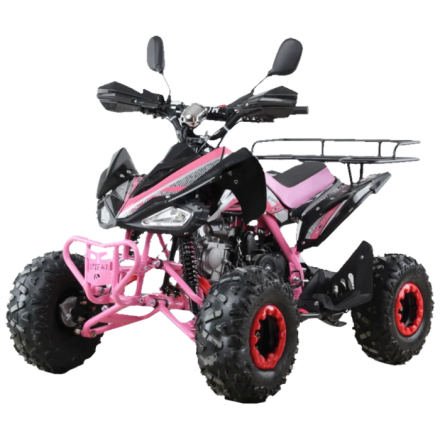Квадроцикл бензиновый MOTAX ATV T-Rex Super LUX 125 cc, фото 4