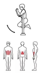 ZOV-002 Тренажер для мышц спины и пресса, фото 2 ZOV-002 Тренажер для мышц спины и пресса, фото 2