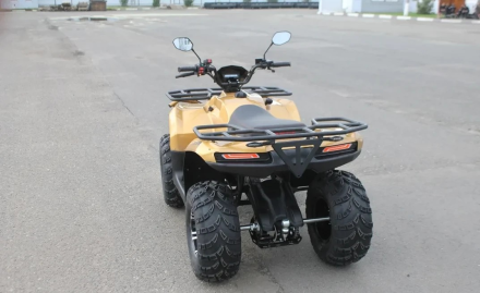 Квадроцикл IRBIS ATV 250 Premium, фото 4