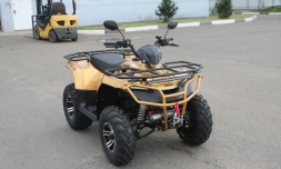 Квадроцикл IRBIS ATV 250 Premium, фото 2