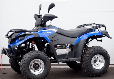 Квадроцикл LINHAI-YAMAHA D200, фото 2