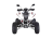 Квадроцикл RATO RТ250SТ-2