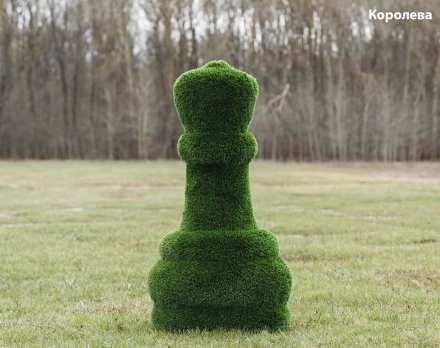 Топиари шахматы Король/Королева - газон Deluxe, фото 1