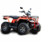 Квадроцикл IRBIS ATV 250
