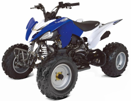 Квадроцикл ABM Scorpion 150, фото 3