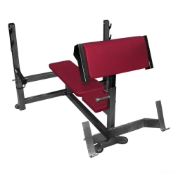 Скамья-стойка для жима штанги лежа + Скамья Скотта Скамья-стойка для жима штанги лежа + Скамья Скотта