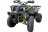 Квадроцикл ATV Avenger Evo