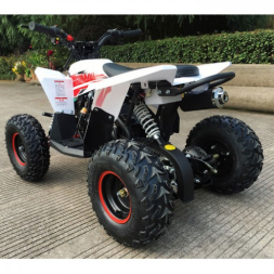 Детский квадроцикл Gekkon 70 (1+1), фото 2