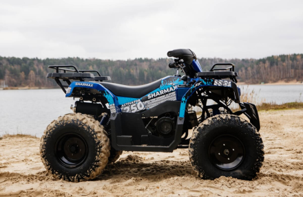 Квадроцикл SHARMAX Activator 250, фото 30