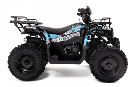 Квадроцикл SHARMAX Activator 250, фото 5