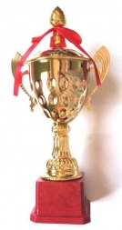 Кубок D17 C