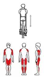 ZOV-007 Двойной степпер, фото 2 ZOV-007 Двойной степпер, фото 2