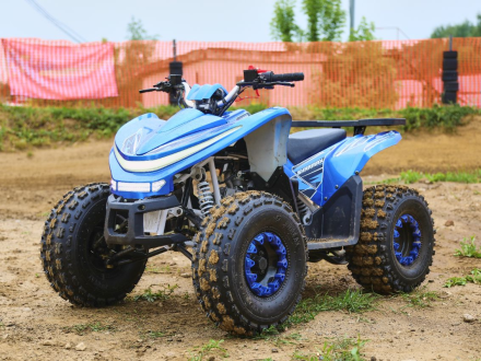 Квадроцикл SHARMAX Cross 180 RX, фото 25