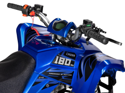 Квадроцикл SHARMAX Cross 180 RX, фото 13