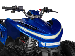 Квадроцикл SHARMAX Cross 180 RX, фото 8