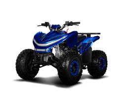 Квадроцикл SHARMAX Cross 180 RX, фото 5