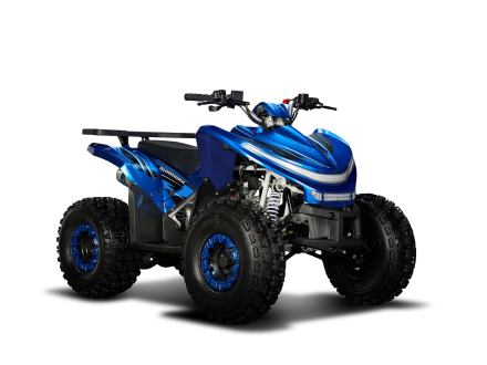 Квадроцикл SHARMAX Cross 180 RX, фото 4