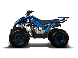 Квадроцикл SHARMAX Cross 180 RX, фото 3