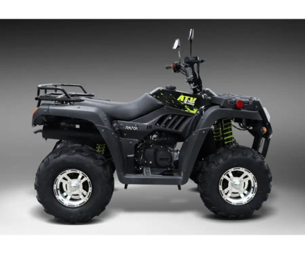 Квадроцикл RATO RT 250 ST LD, фото 2