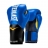 Перчатки тренировочные Elite ProStyle 14oz