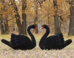 Топиари  2 лебедя черных Блэк - газон Eco , фото 1