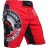 Шорты Hardcore Training hctshorts054