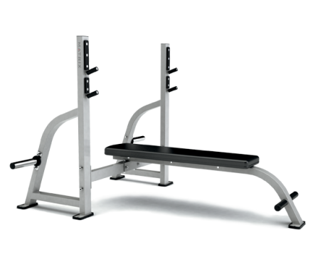 MATRIX G1-FW163 Iced Silver Скамья для жима прямая, фото 1