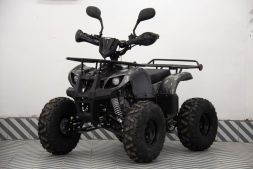 Квадроцикл UNIVERSAL ATV 125 TM Classic, фото 2