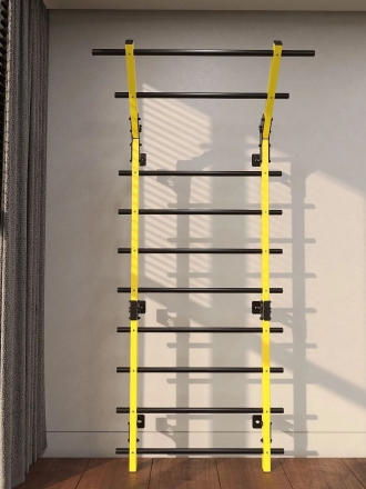 Профессиональная шведская стенка с турником Domsen Fitness Ds57 YELLOW, фото 2