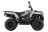 Квадроцикл LONCIN TRV350 Pro 22